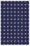 250w Mono Solar Panel (TST250-48M)