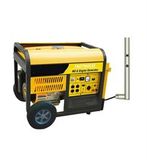 Portable 50Hz or 60Hz 5kVA Natural Gas Home Generator