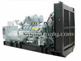 Biogas Power Generation Unit