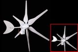 300W Wind Turbine Generator (P-300W)