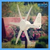 Small 300W Wind Energy Generator Wind Turbine (M-300)