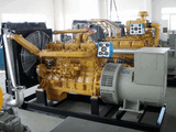 Shanghai Diesel Generator