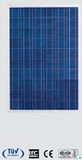 Solar Module Poly 230w