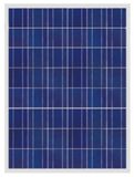 Poly Solar Panel (230W)