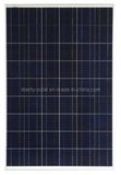 230W Poly Solar Panel (LBT-P230)