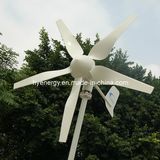 400W Low Wind Speed Wind Turbine (HY-400L-12V)