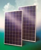 Solar Panel (BLD-60-6P)