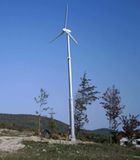 Wind Turbine Generator