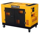 Industrial 10kVA Diesel Electric Generator (BM12T)