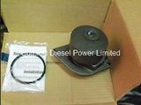 Genuine Cummins 6bt5.9 Engine Parts Oil Filter, Fuel Filter, Water Pump.