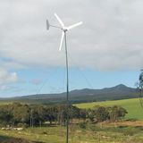 Wind Power Generator (300/400)