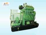 50kw Flexible System Operation Biogas Generator Set