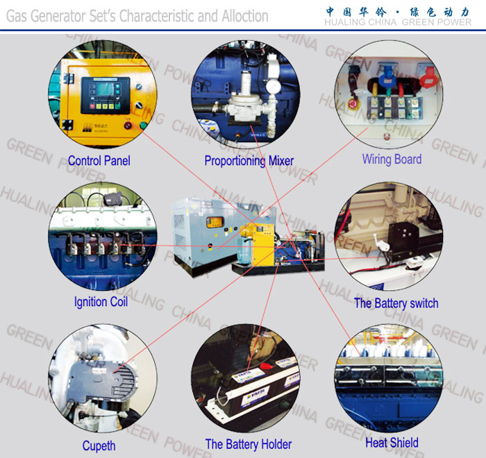 Natural Gas/LPG/Biogas CHP Combined Heat and Power